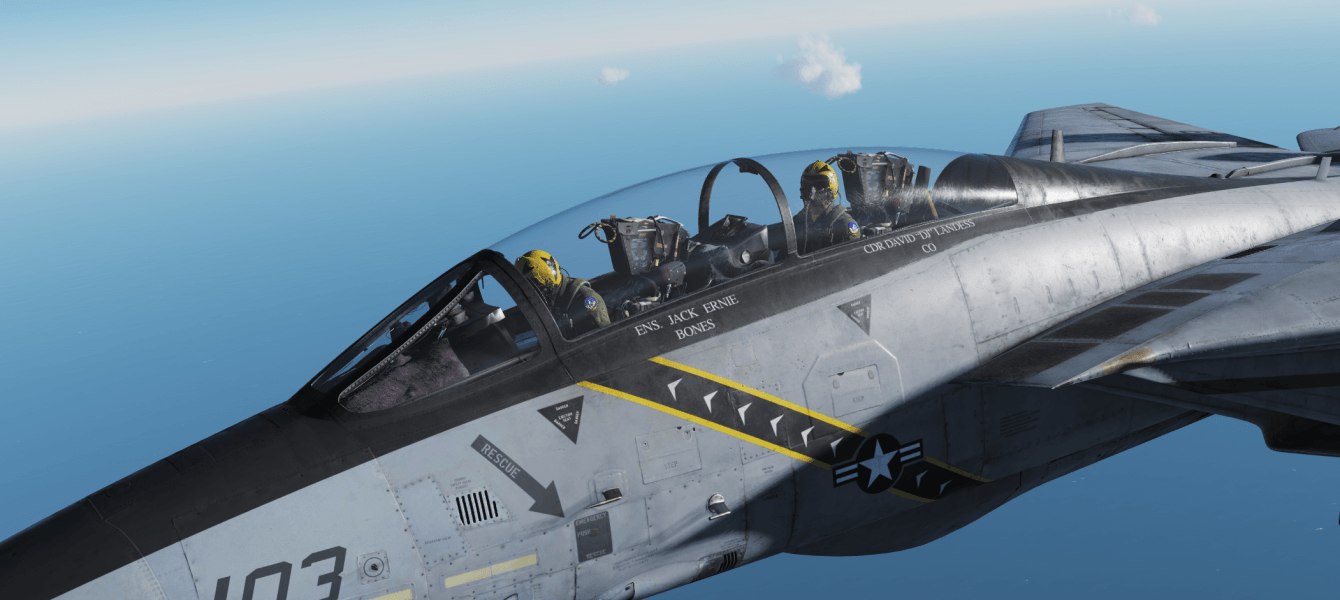 DCS: F-14B par Heatblur Review