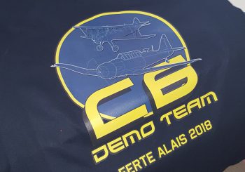 Lan C6 démo team : Ferté 2018